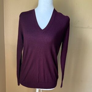 Banana Republic Deep Burgundy V-Neck Sweater